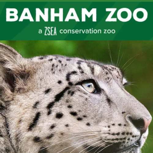 4-Day Pass to Banham Zoological Gardens & Africa Alive!